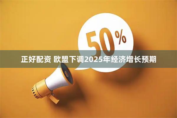 正好配资 欧盟下调2025年经济增长预期