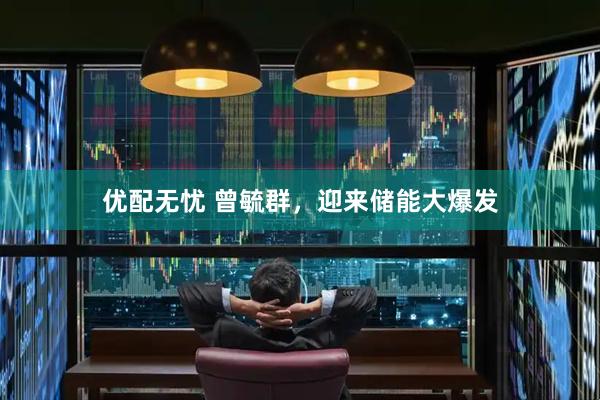 优配无忧 曾毓群，迎来储能大爆发